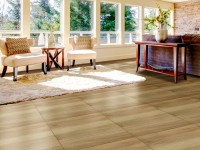 Living room environment with floor tile porcelain 61501 Native Imbuia