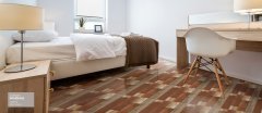 banner-45974-stansias.jpg
