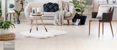 banner-56013-n.jpg