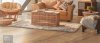 cristofoletti-banner-56057.jpg