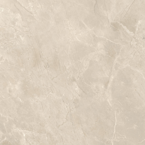 Ref. 177017 MAGNA BONE - Polido