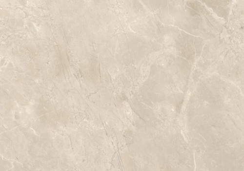 Ref. 177017 MAGNA BONE - Polido